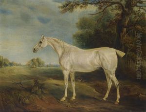 The Marquess Of Huntly's Fleabitten Grey Hunter The Marquess Of Huntly's Fleabitten Grey Hunter