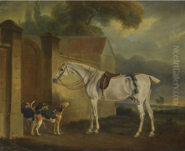 Lord Lonsdale's Fleabitten Grey Hunter, Brass, At Cottesmore With The Cottesmore Hounds - view 1
