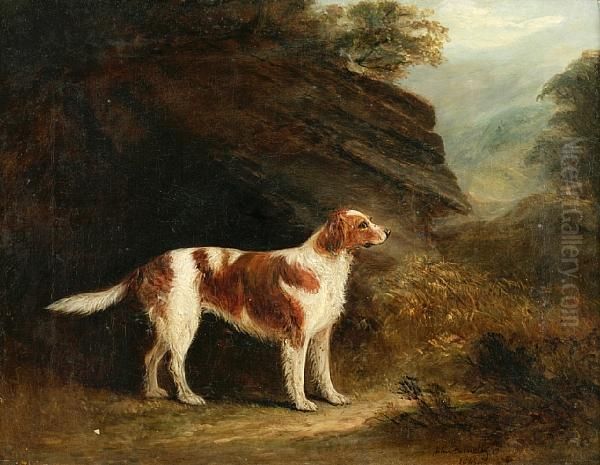 English Setter In A Landscape - view 1