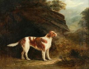 English Setter In A Landscape by John Jnr. Ferneley