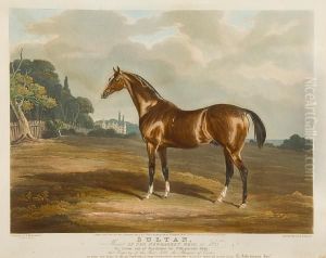 Sultan, Winner Of The Newmarket Whip