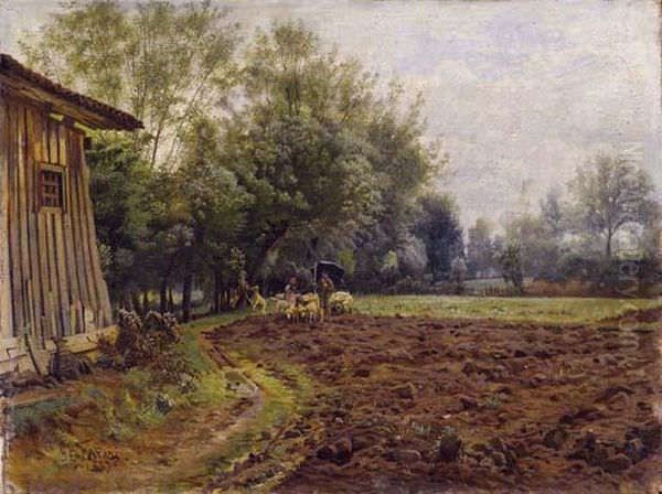 Ritorno Dal Pascolo - view 1