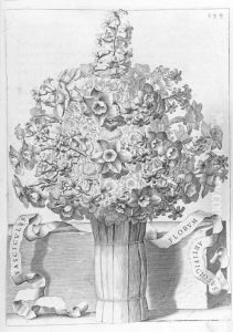 De Florum Coltura. by Giovanni-Battista Camuccini