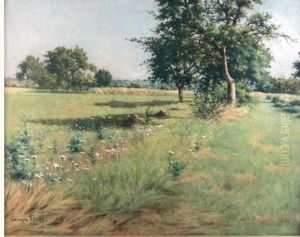 Paysage D'ete