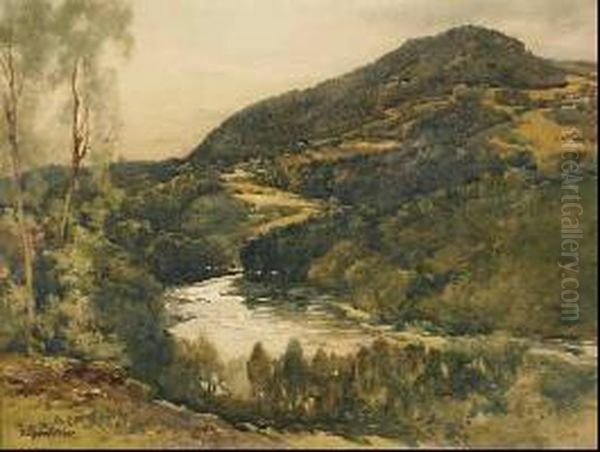 The Tay At Edradynate And Derculich - view 1