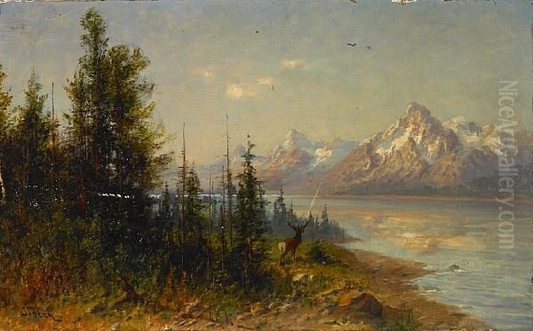 Elk In An Extensive Western Landscape - view 1