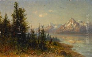 Elk In An Extensive Western Landscape by John Fery