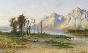 Jackson Lake In Wyoming by John Fery
