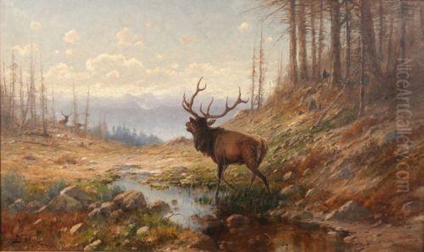 Bugling Elk - view 1