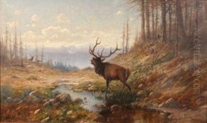 Bugling Elk by John Fery