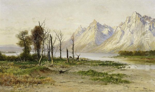 Jackson Lake, Wyoming - view 1