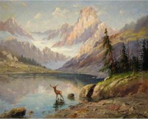 Rocky Mountain Elk by John Fery