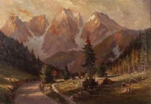 Abgeholzterfichtenwald Im Hochgebirge by Emil Fiala