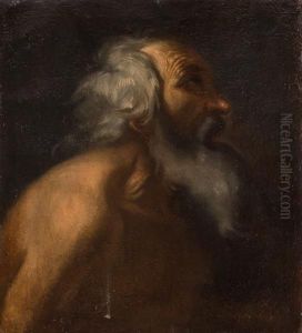 Studio Per Il Profilo Di Sant'andrea by Domenico Fiasella