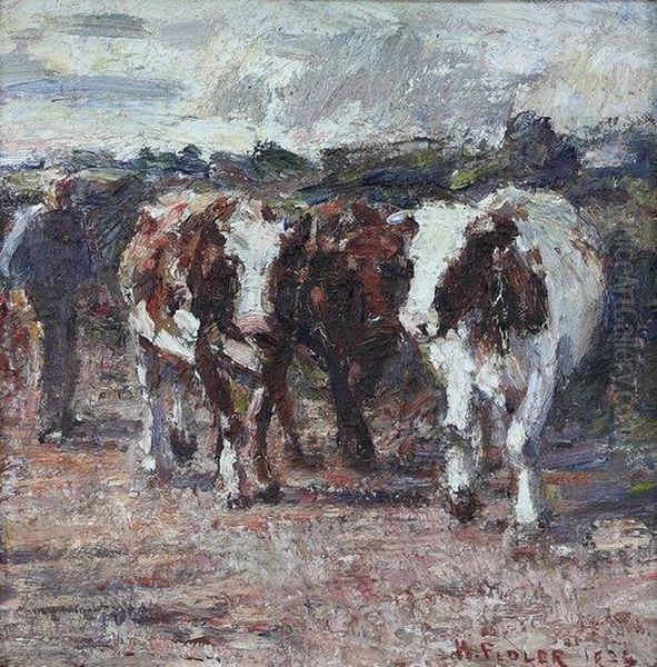 Cattle - view 1