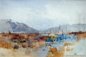 Central Otago Landscape by Isobel Field