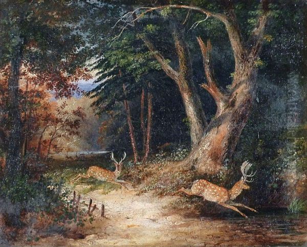 Daims Dansla Foret - view 1