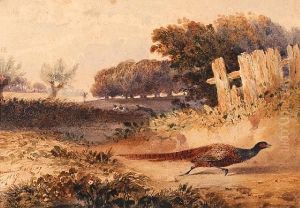 Pheasant Shooting by Newton Fielding