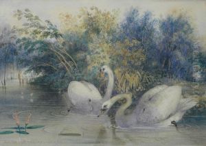 Swans By A Riverbank by Newton Fielding