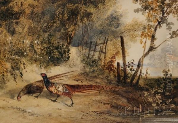 Pheasant Pair In A Landscape - view 1