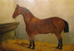 Portrait Of Abay Hunter In A Stable Portrait Of Abay Hunter In A Stable