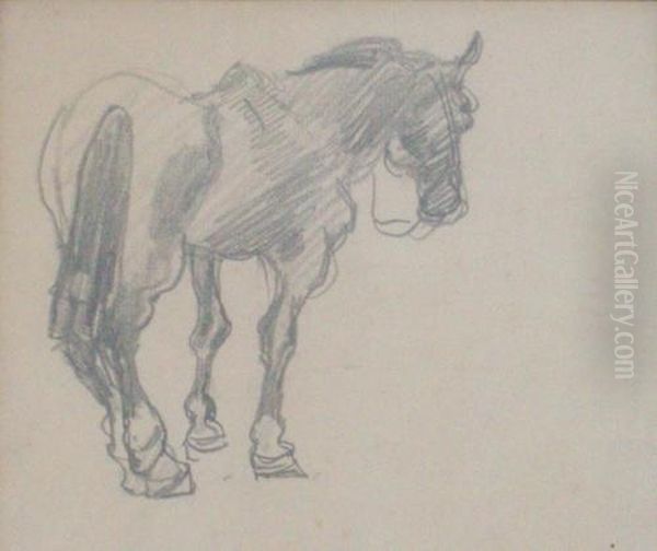 Caballo - view 1