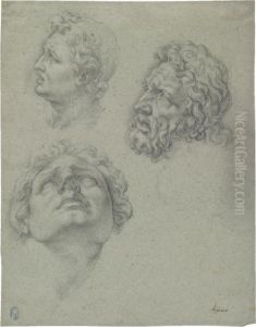 Studies Of Heads After The Laocoon