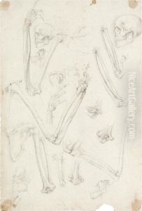 A Sheet Of Studies Of Human Skeletons: Arms And Skulls by Ambrogio Giovanni Figino