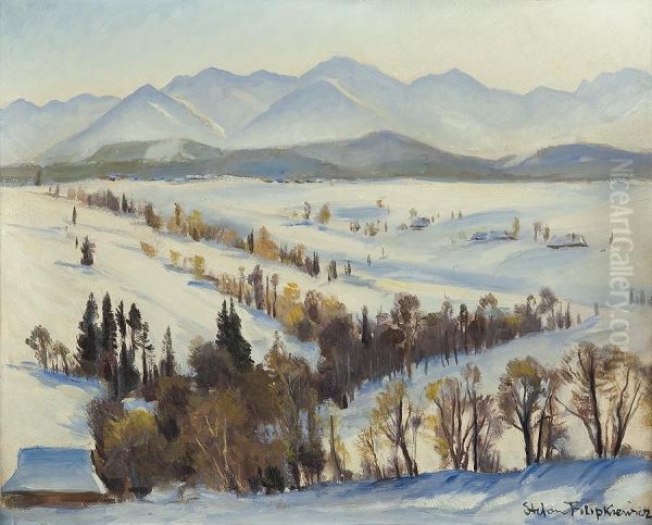 View To The Tatras - view 1