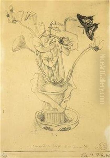 Cyclamen - view 1