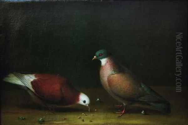 Deux Pigeons Picorant - view 1
