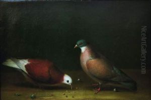 Deux Pigeons Picorant by Hermanns Niclaes Peters Fils