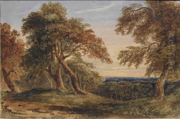Landscape At Sunset - view 1