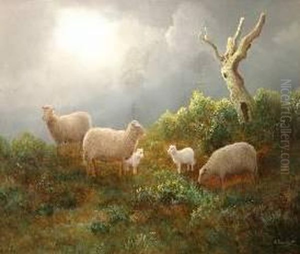 Landscape With Sheep - view 1