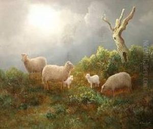 Landscape With Sheep by Thomas Finchett