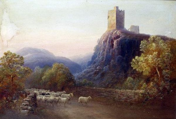 A Pair, Sheep In A Highland Pass And Scottish Lane - view 1