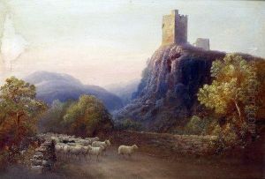 A Pair, Sheep In A Highland Pass And Scottish Lane
