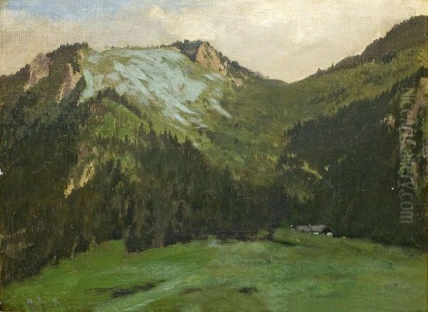 Gebirgslandschaft - view 1