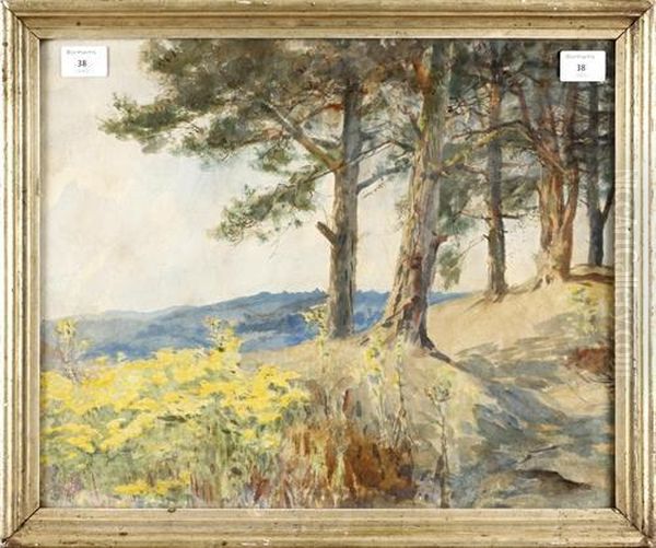 On The Surrey Hills - view 1