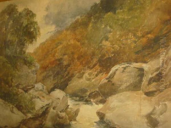 Woodland With Rocky Ravine - view 1