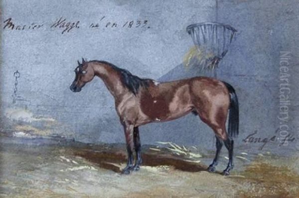 Cheval A L'ecurie - view 1
