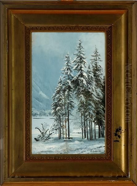 Scenery At A Mountain Lake - view 1