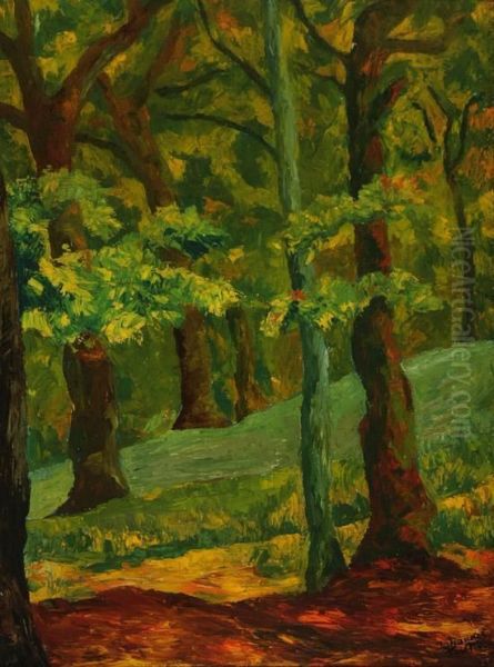 View Of A Forest Interior - view 1