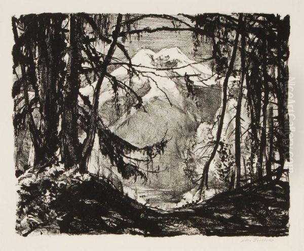 Waldlichtung Mit Gebirgsblick - view 1