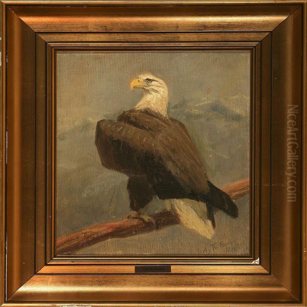 An Eagle - view 1