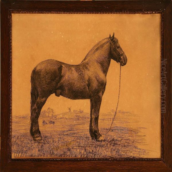 A Horse - view 1