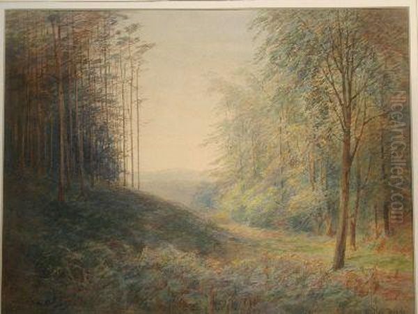 Woodland Scene - view 1