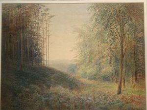 Woodland Scene