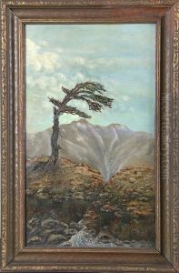 Lone Tree In Landscape by Anna S. Fisher