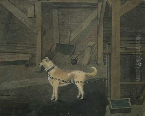 Caesar-a Yard Dog - view 1